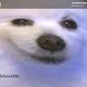 Meet your Posher, Marta